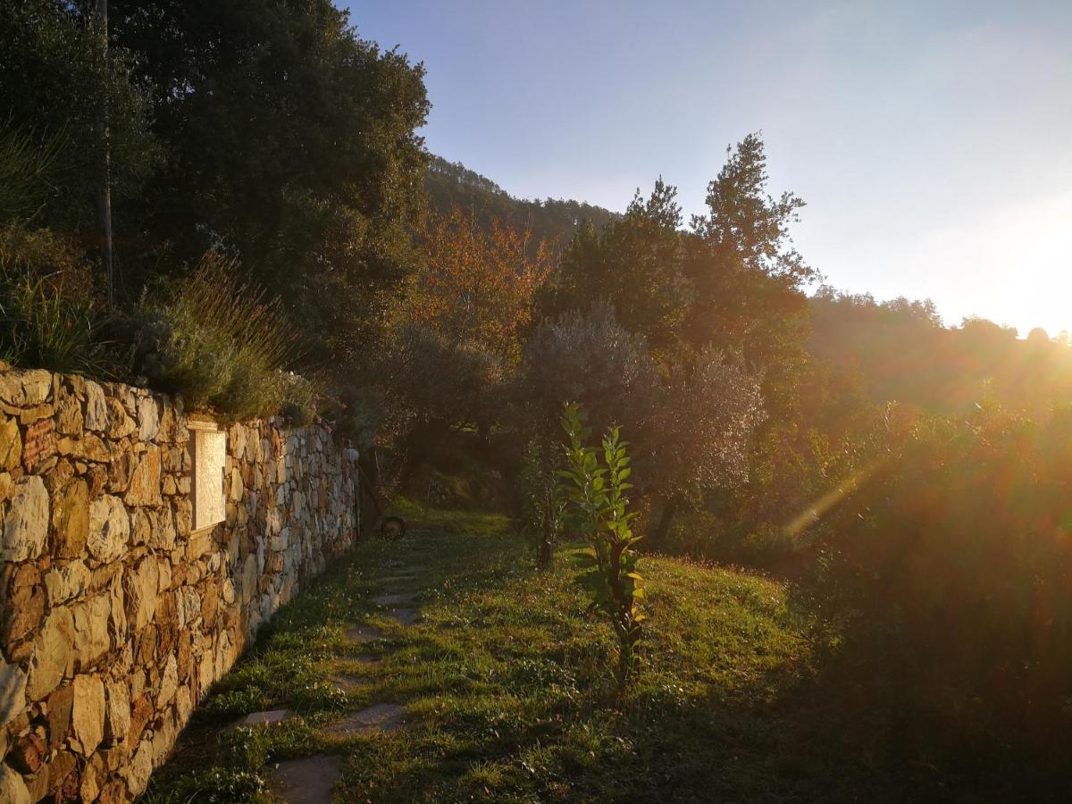 Cottage La Casa Del Pittore Reggimonti Экстерьер фото
