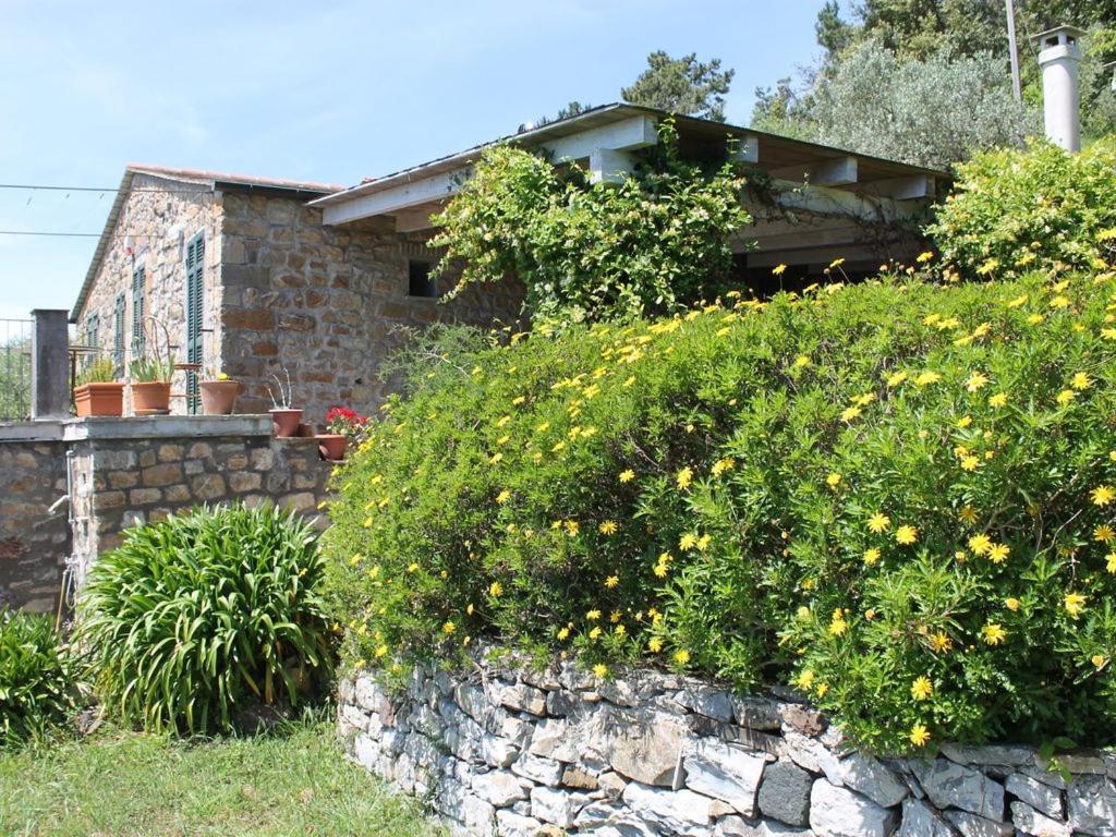 Cottage La Casa Del Pittore Reggimonti Экстерьер фото